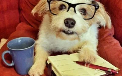 Home buying homework