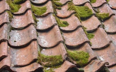 Does the roof leak?